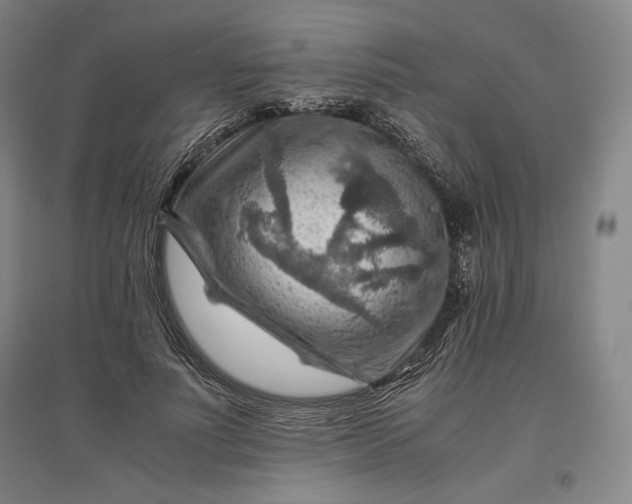 X0000096940691200802221320