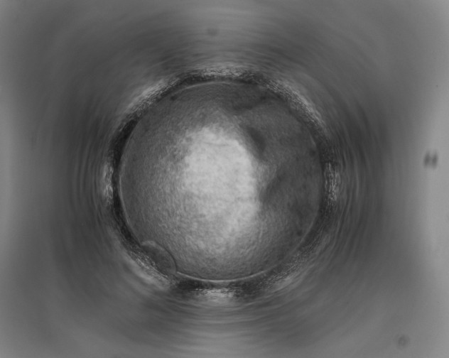 X0000096940692200802221320