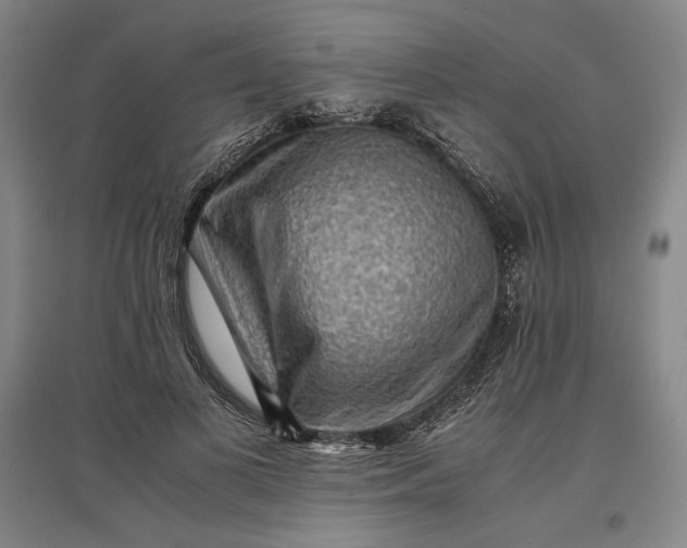 X0000096940693200802221320