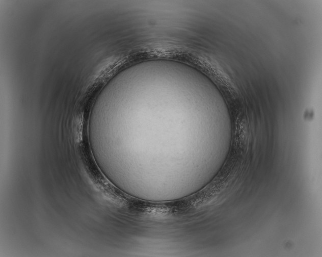 X0000096940694200802221320