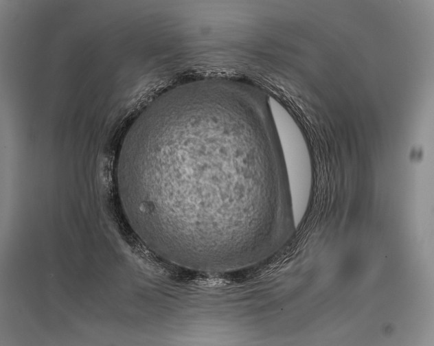 X0000096940695200802221320