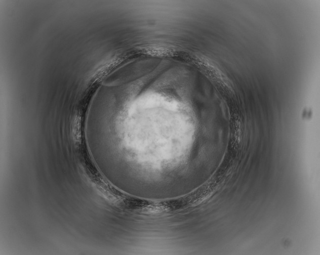 X0000096940696200802221320