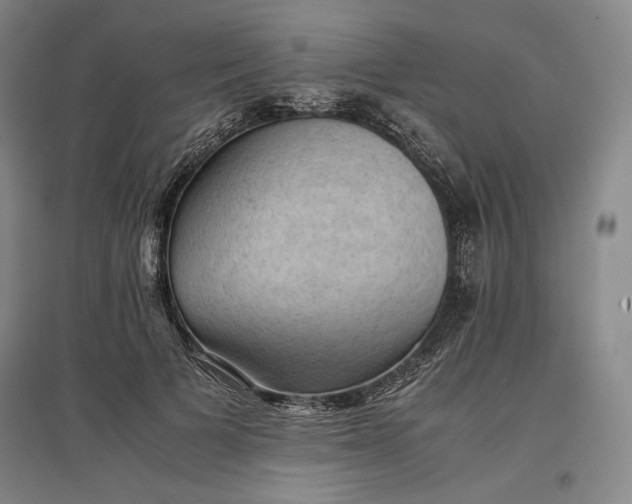 X0000096940697200802221320