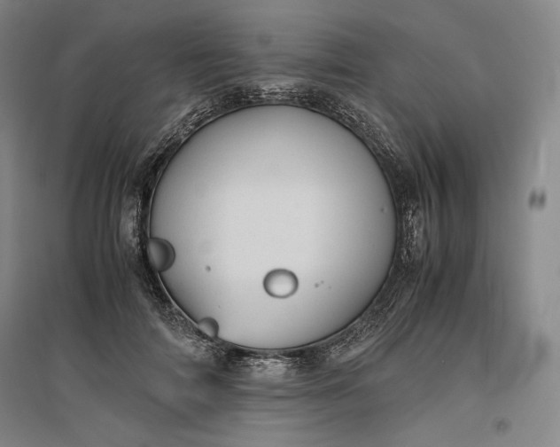 X0000096940698200802221320