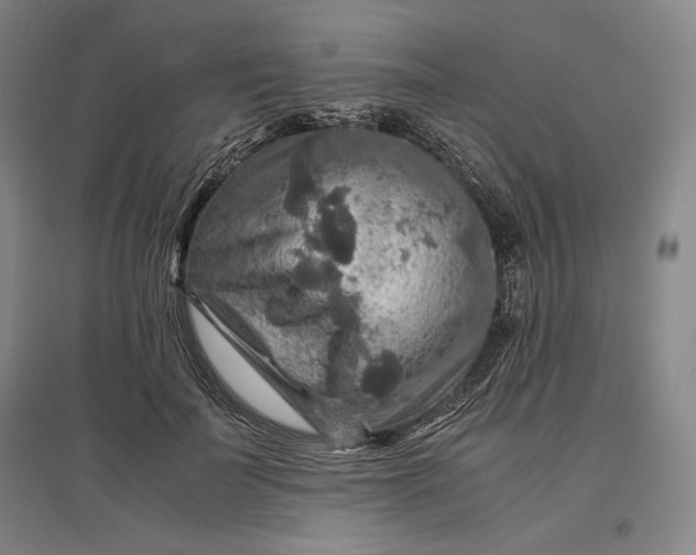 X0000096940699200802221320