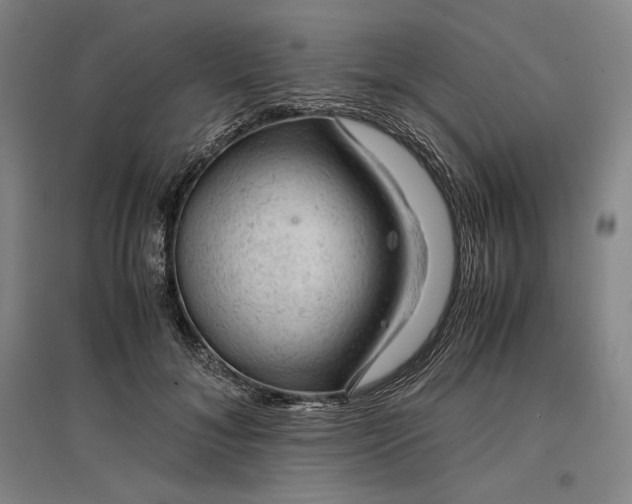 X0000096940700200802221320