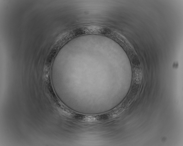 X0000096940701200802221320