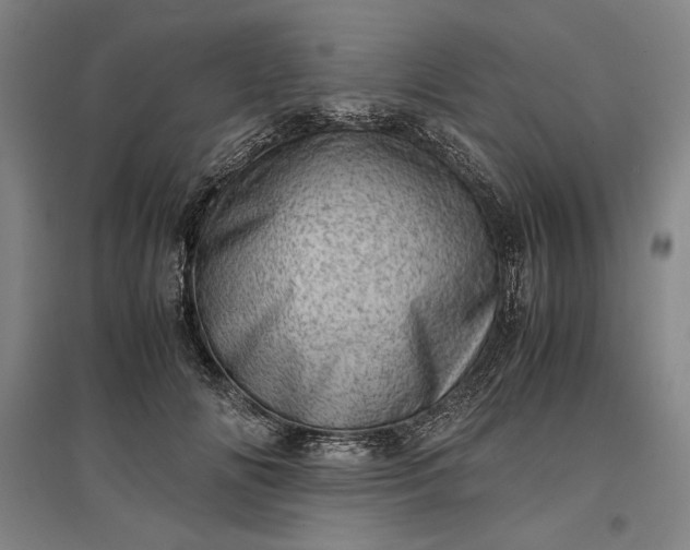 X0000096940702200802221320