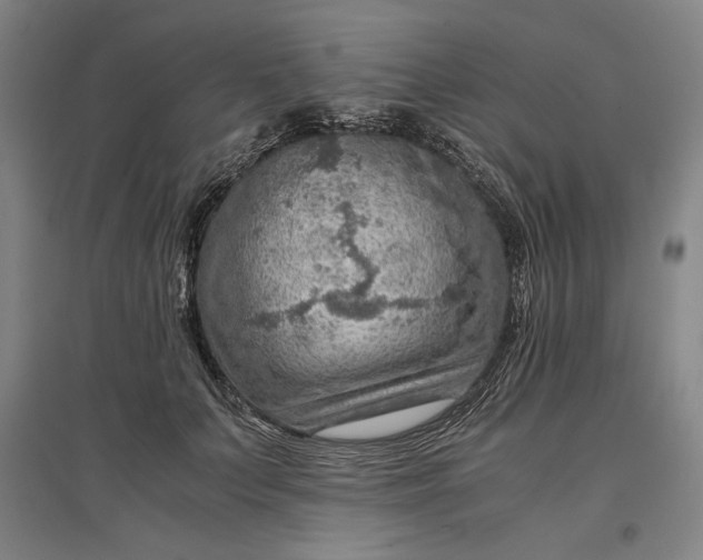 X0000096940703200802221320