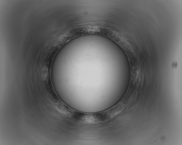 X0000096940704200802221320