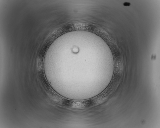 X0000096940705200802221320