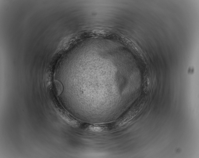 X0000096940706200802221320