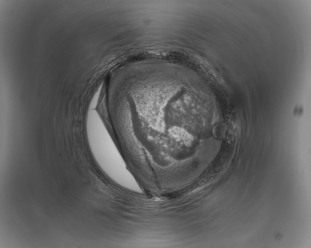 X0000096940707200802221320