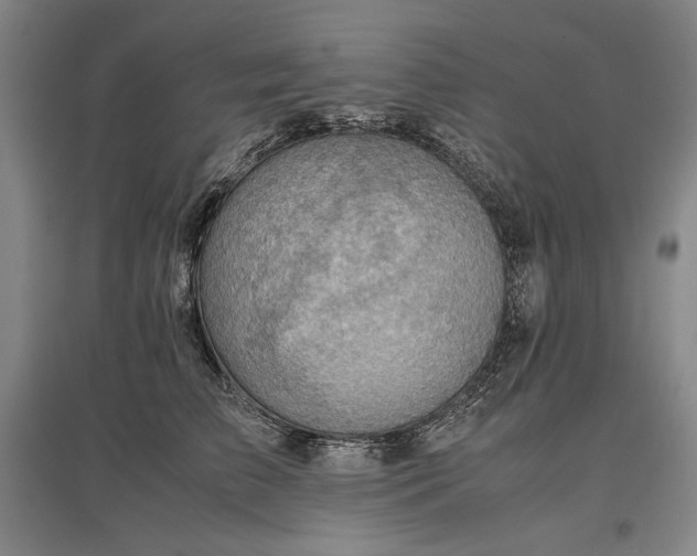 X0000096940709200802221320