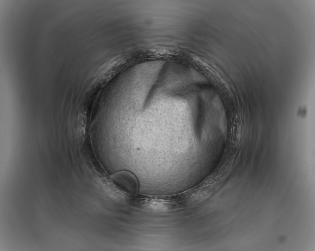 X0000096940710200802221320