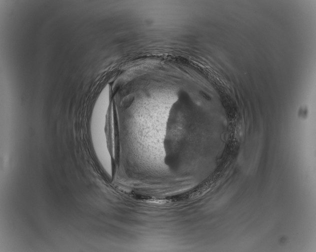 X0000096940711200802221320