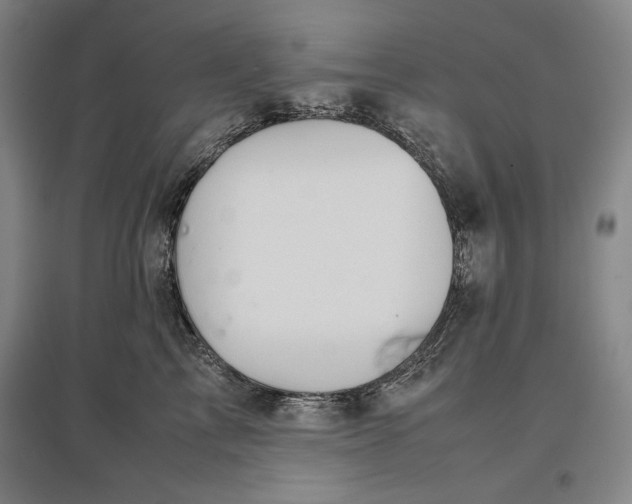 X0000096940713200802221320