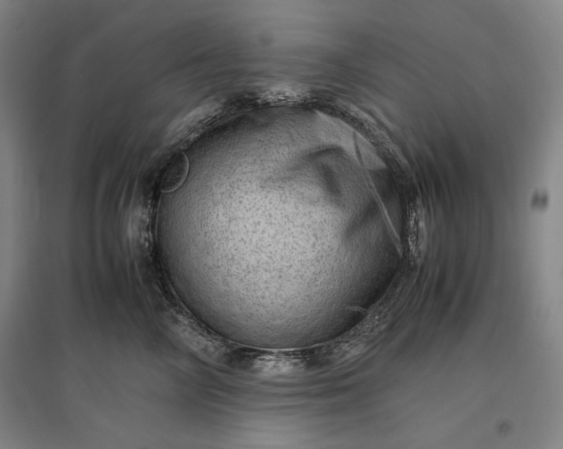 X0000096940714200802221320