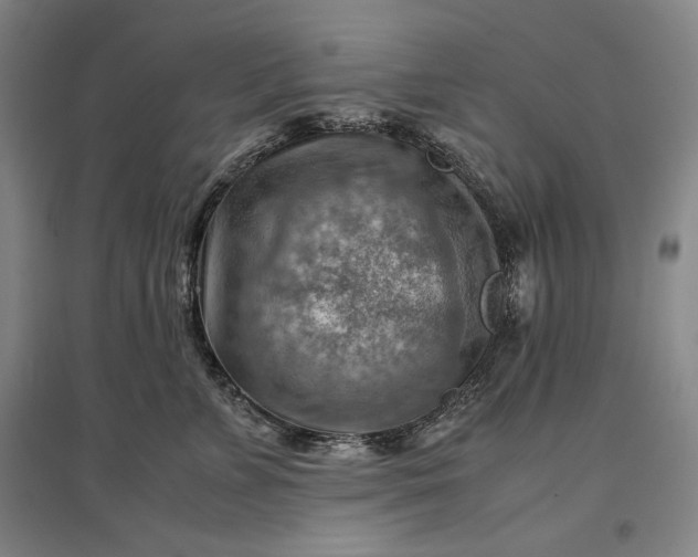 X0000096940715200802221320