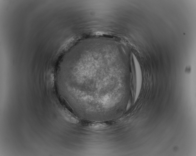 X0000096940716200802221320