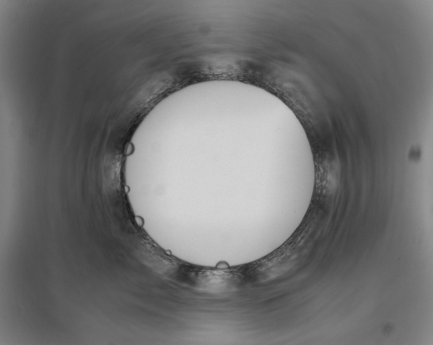 X0000096940717200802221320