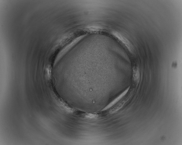 X0000096940718200802221320