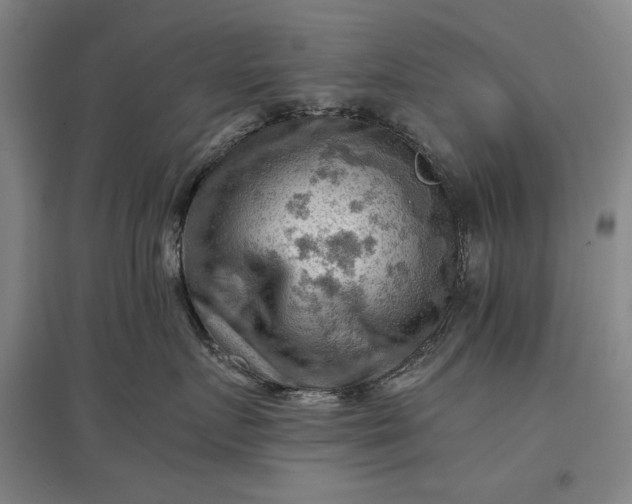 X0000096940719200802221320