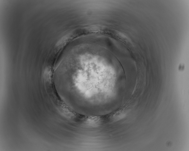 X0000096940720200802221320