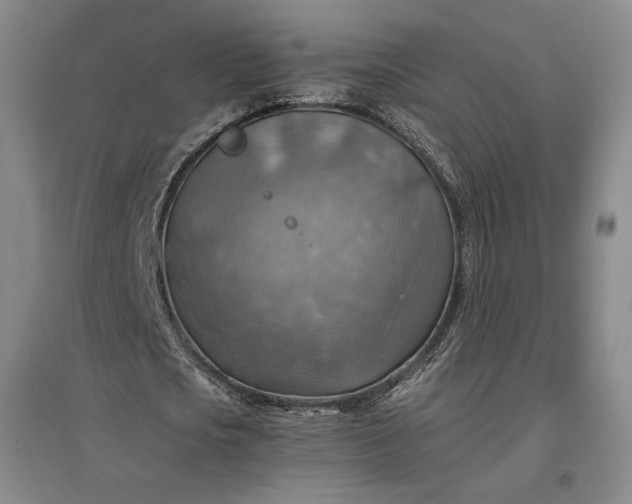 X0000096940721200802221319