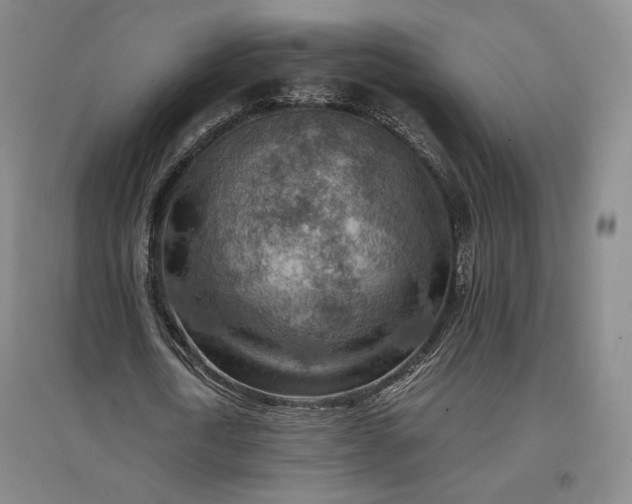 X0000096940722200802221319