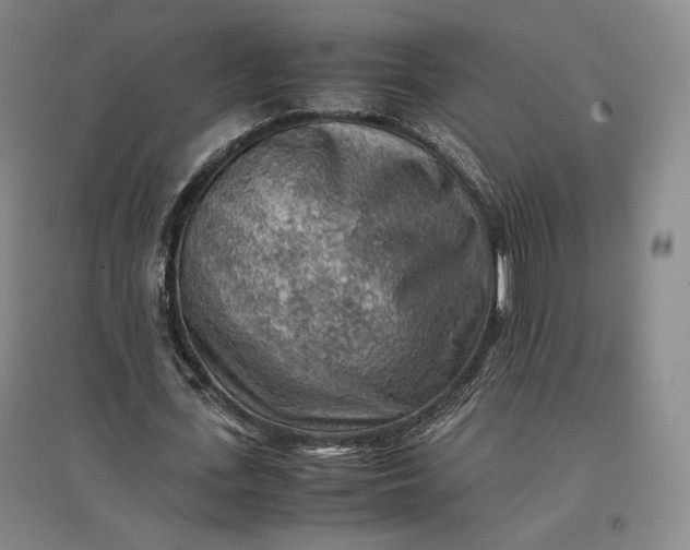 X0000096940723200802221319