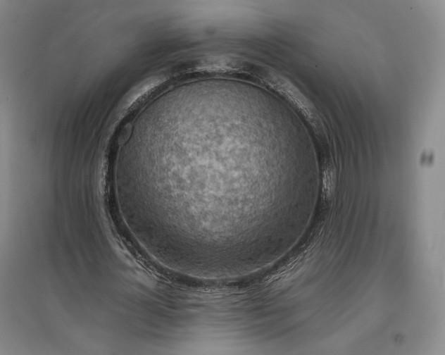 X0000096940724200802221319