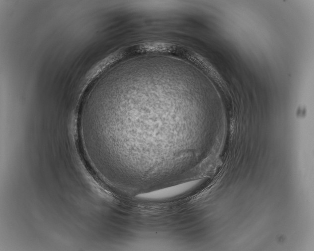 X0000096940725200802221319