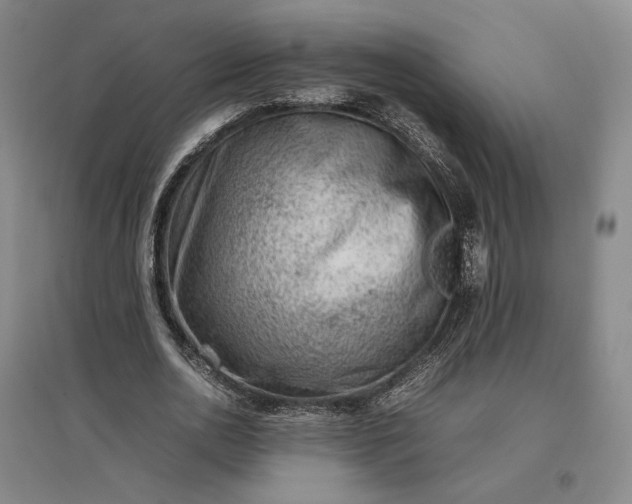 X0000096940726200802221319