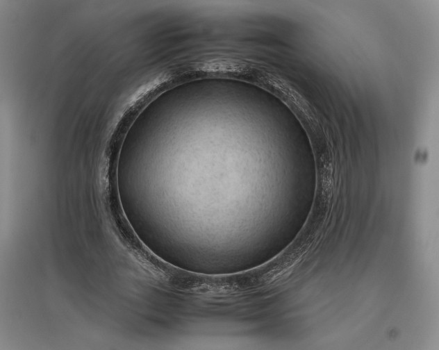 X0000096940727200802221319