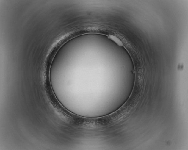 X0000096940728200802221319