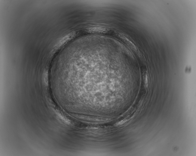 X0000096940729200802221319