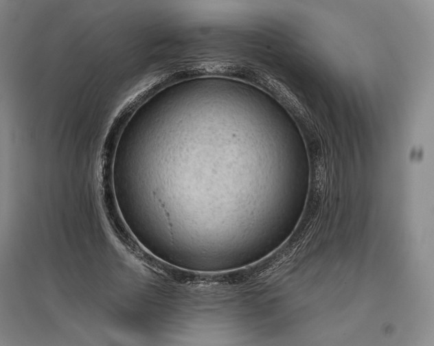 X0000096940730200802221319