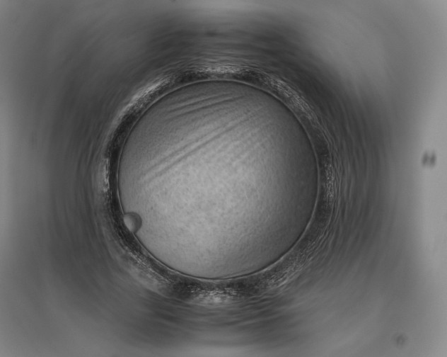 X0000096940731200802221319