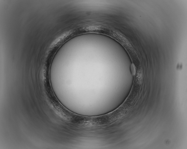 X0000096940732200802221319