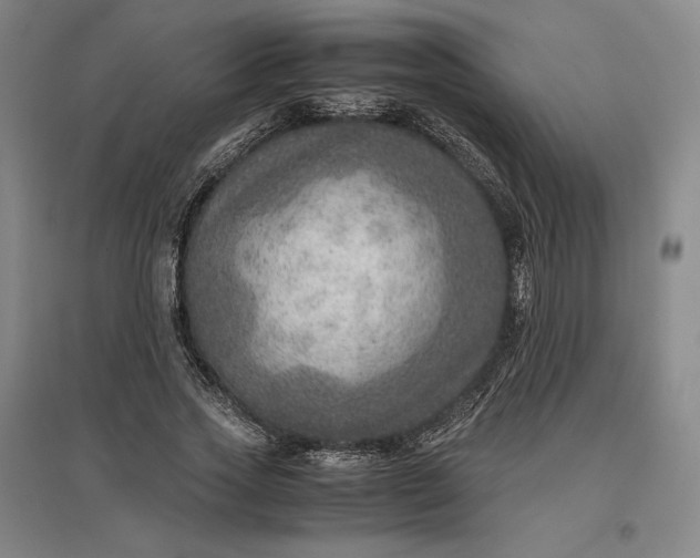 X0000096940733200802221319