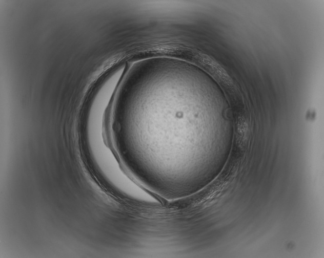 X0000096940734200802221319