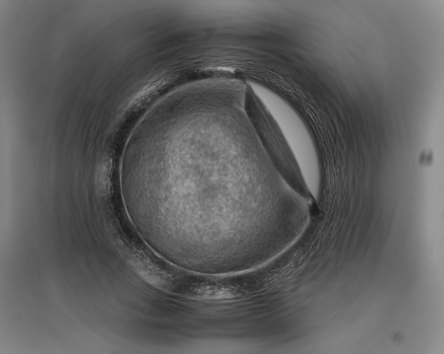 X0000096940735200802221319