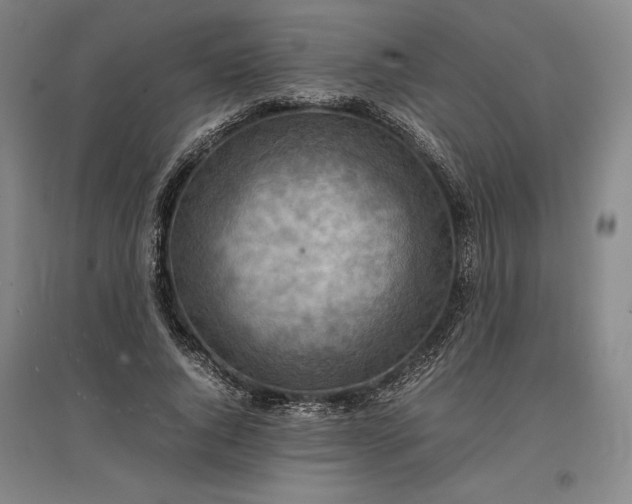 X0000096940736200802221319