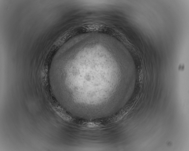 X0000096940737200802221319