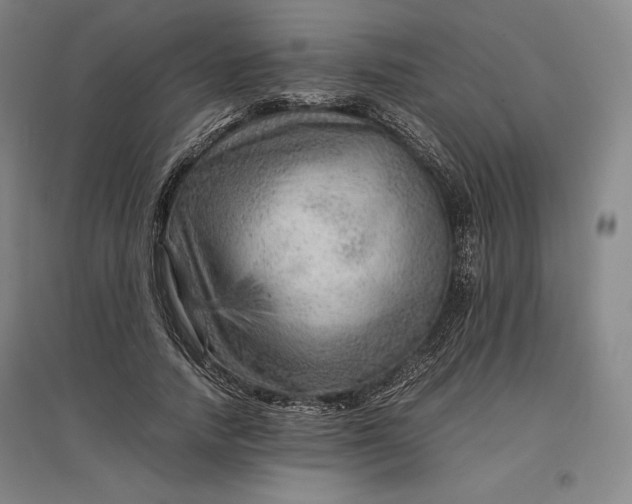 X0000096940738200802221319