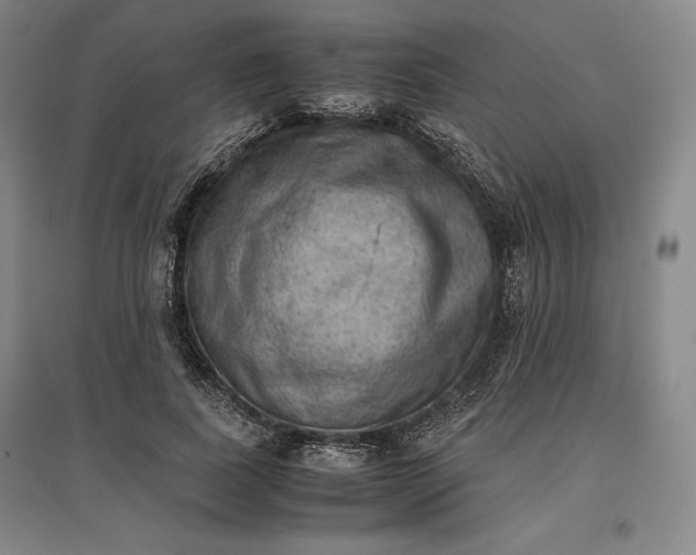 X0000096940739200802221319