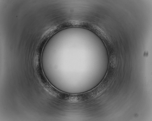 X0000096940740200802221319