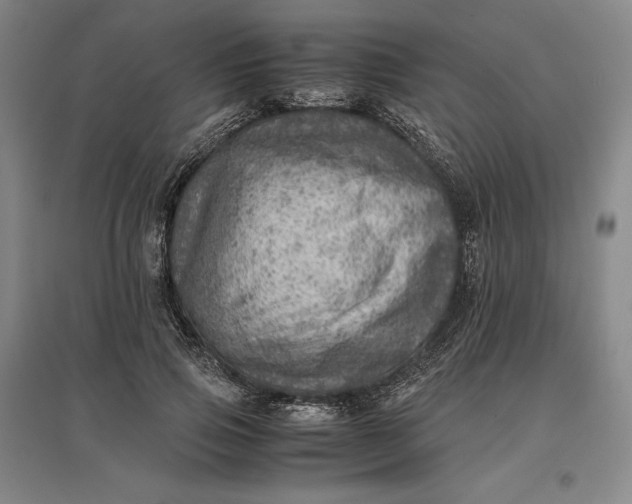 X0000096940741200802221319