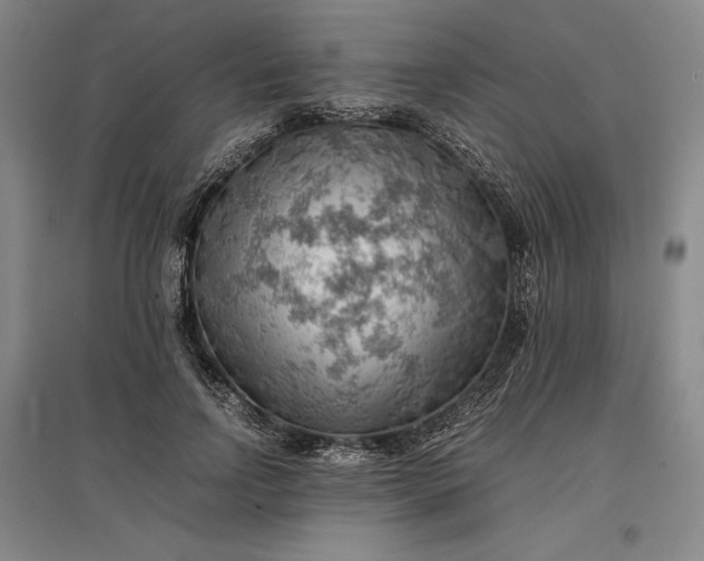 X0000096940742200802221319